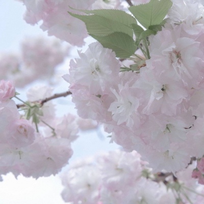 澄海FurryQQ群介绍